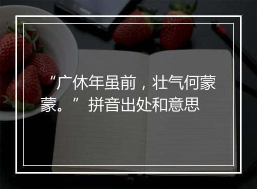 “广休年虽前，壮气何蒙蒙。”拼音出处和意思