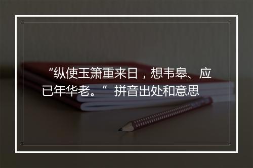 “纵使玉箫重来日，想韦皋、应已年华老。”拼音出处和意思