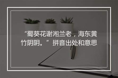 “蜀葵花谢湘兰老，海东黄竹阴阴。”拼音出处和意思