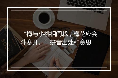 “梅与小桃相间栽，梅花应会斗寒开。”拼音出处和意思