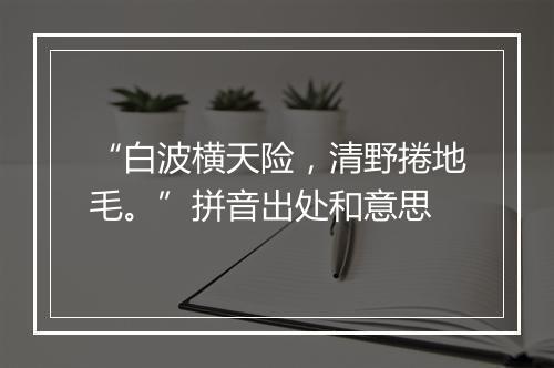 “白波横天险，清野捲地毛。”拼音出处和意思