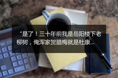 “是了！三十年前我是岳阳楼下老柳树，俺浑家贺腊梅就是杜康庙前白梅树。”拼音出处和意思