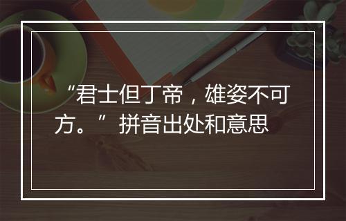 “君士但丁帝，雄姿不可方。”拼音出处和意思