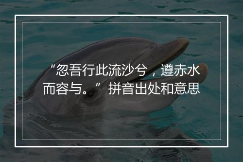 “忽吾行此流沙兮，遵赤水而容与。”拼音出处和意思