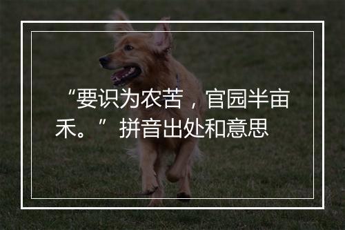 “要识为农苦，官园半亩禾。”拼音出处和意思