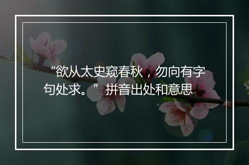 “欲从太史窥春秋，勿向有字句处求。”拼音出处和意思