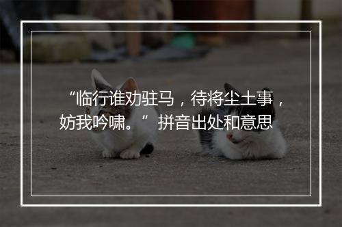 “临行谁劝驻马，待将尘土事，妨我吟啸。”拼音出处和意思