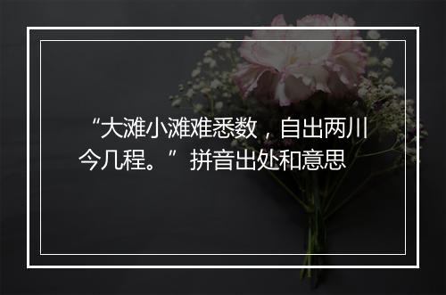 “大滩小滩难悉数，自出两川今几程。”拼音出处和意思