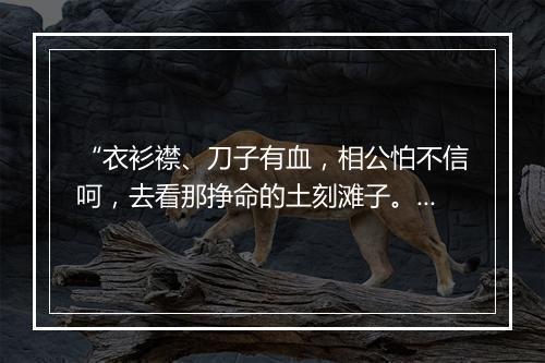 “衣衫襟、刀子有血，相公怕不信呵，去看那挣命的土刻滩子。”拼音出处和意思