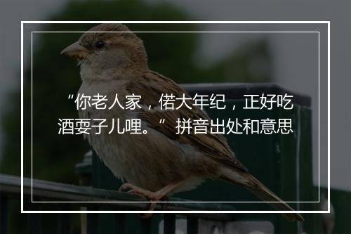 “你老人家，偌大年纪，正好吃酒耍子儿哩。”拼音出处和意思