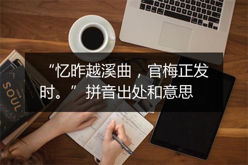 “忆昨越溪曲，官梅正发时。”拼音出处和意思