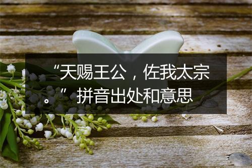 “天赐王公，佐我太宗。”拼音出处和意思