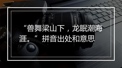 “兽舞梁山下，龙眠潮海涯。”拼音出处和意思