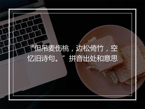 “但吊麦伤桃，边松倚竹，空忆旧诗句。”拼音出处和意思