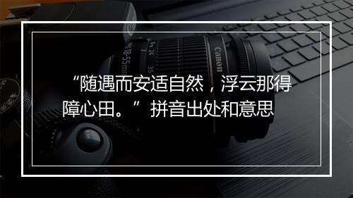 “随遇而安适自然，浮云那得障心田。”拼音出处和意思