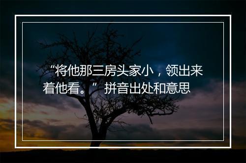 “将他那三房头家小，领出来着他看。”拼音出处和意思