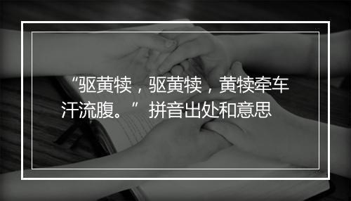 “驱黄犊，驱黄犊，黄犊牵车汗流腹。”拼音出处和意思