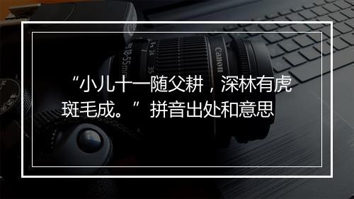 “小儿十一随父耕，深林有虎斑毛成。”拼音出处和意思