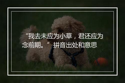 “我去未应为小草，君还应为念前期。”拼音出处和意思