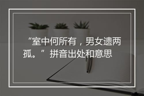 “室中何所有，男女遗两孤。”拼音出处和意思