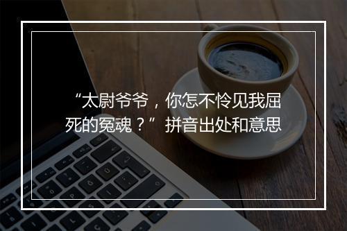 “太尉爷爷，你怎不怜见我屈死的冤魂？”拼音出处和意思