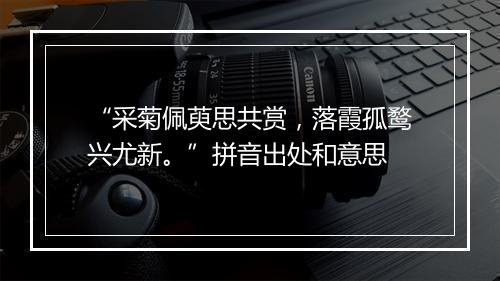 “采菊佩萸思共赏，落霞孤鹜兴尤新。”拼音出处和意思