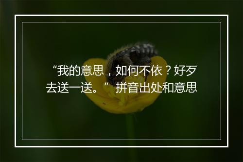 “我的意思，如何不依？好歹去送一送。”拼音出处和意思