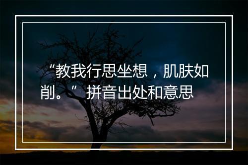 “教我行思坐想，肌肤如削。”拼音出处和意思