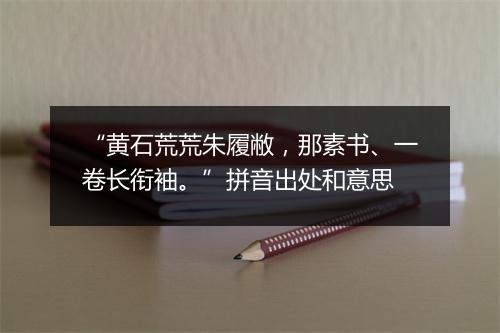 “黄石荒荒朱履敝，那素书、一卷长衔袖。”拼音出处和意思