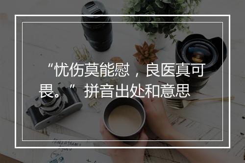 “忧伤莫能慰，良医真可畏。”拼音出处和意思