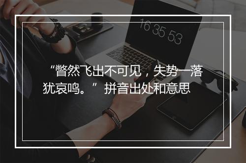 “瞥然飞出不可见，失势一落犹哀鸣。”拼音出处和意思