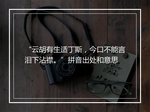 “云胡有生适丁斯，今口不能言泪下沾襟。”拼音出处和意思