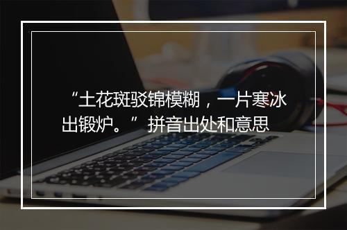 “土花斑驳锦模糊，一片寒冰出锻炉。”拼音出处和意思