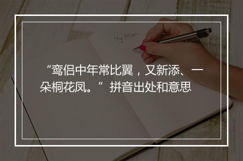 “鸾侣中年常比翼，又新添、一朵桐花凤。”拼音出处和意思