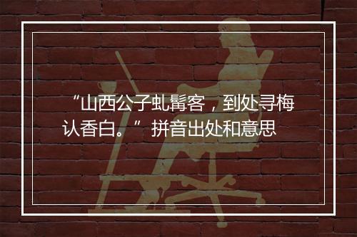 “山西公子虬髯客，到处寻梅认香白。”拼音出处和意思