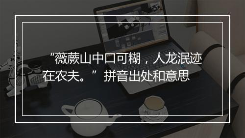 “薇蕨山中口可糊，人龙泯迹在农夫。”拼音出处和意思