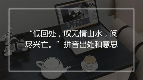 “低回处，叹无情山水，阅尽兴亡。”拼音出处和意思