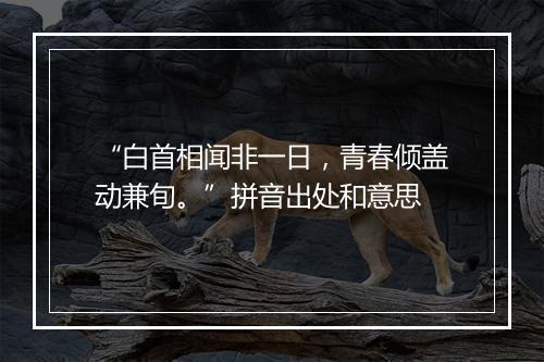 “白首相闻非一日，青春倾盖动兼旬。”拼音出处和意思