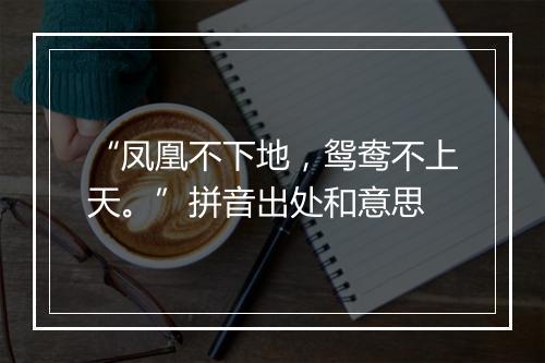 “凤凰不下地，鸳鸯不上天。”拼音出处和意思