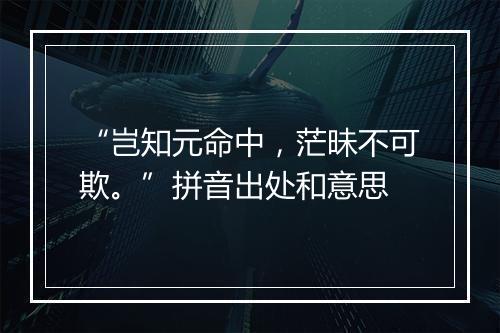 “岂知元命中，茫昧不可欺。”拼音出处和意思