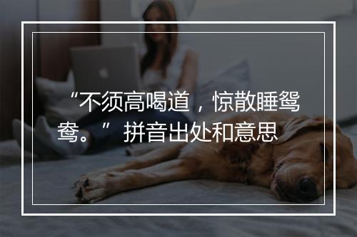 “不须高喝道，惊散睡鸳鸯。”拼音出处和意思