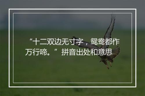 “十二双边无寸字，鸳鸯都作万行啼。”拼音出处和意思