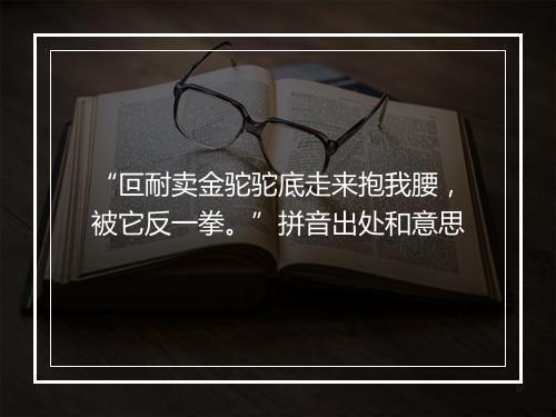 “叵耐卖金驼驼底走来抱我腰，被它反一拳。”拼音出处和意思