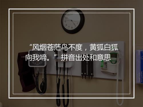 “风烟苍茫鸟不度，黄狐白狐向我啼。”拼音出处和意思