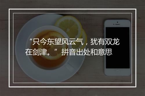 “只今东望风云气，犹有双龙在剑津。”拼音出处和意思