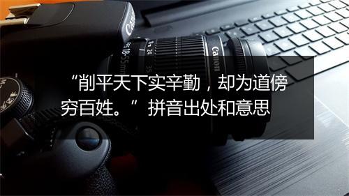 “削平天下实辛勤，却为道傍穷百姓。”拼音出处和意思