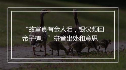 “故宫真有金人泪，银汉频回帝子槎。”拼音出处和意思