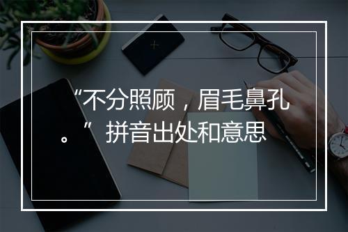 “不分照顾，眉毛鼻孔。”拼音出处和意思