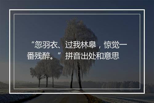 “忽羽衣、过我林皋，惊觉一番残醉。”拼音出处和意思