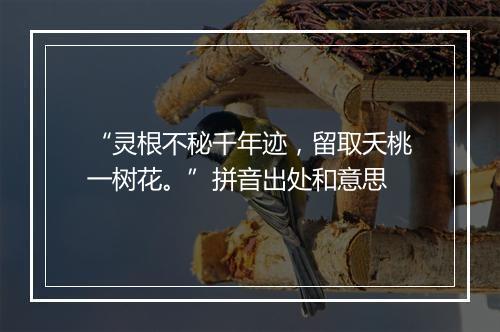 “灵根不秘千年迹，留取夭桃一树花。”拼音出处和意思